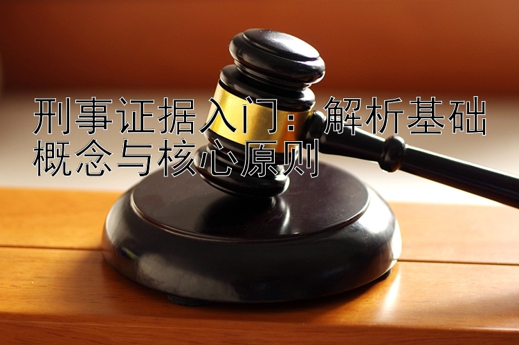 刑事证据入门：解析基础概念与核心原则